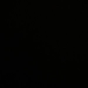 Meet your Posher, Antonio